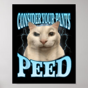 Poster Considere Seu Calção Fez Xixi Engraçado Gato Maluc