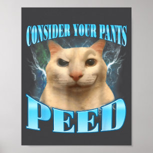 Poster Considere Seu Calção Fez Xixi Gato Louco Meme Humo