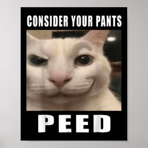Poster Considerem Os Vossos Homens De Bobo De Gato De Cal