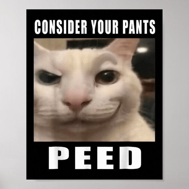 Poster Considerem Os Vossos Homens De Bobo De Gato De Cal (Frente)