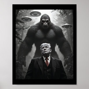 Poster Conspiração do Encontro Visita Alienígena Ovni Pé