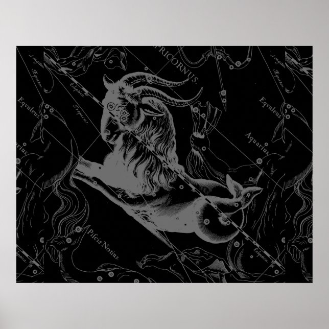 Póster Constelação de Capricórnio Hevelius 1690 a Preto (Frente)