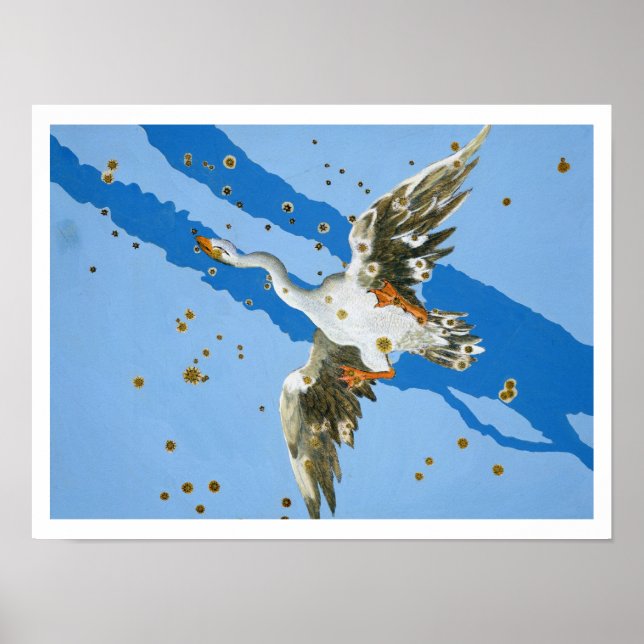 Póster Constelação de Cyrangnus, de Urangion escrita (Frente)