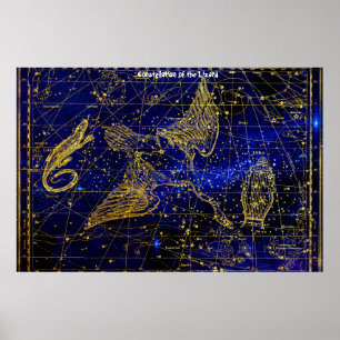 Poster Constelação do Lagarto