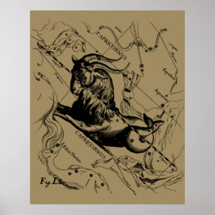 Póster Constelação Hevelius 1690 do Capricórnio no Tau