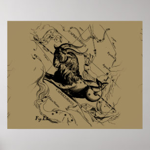 Póster Constelação Hevelius 1690 do Capricórnio no Tau