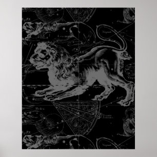 Poster Constelação MapHevelius 1690 de Leo do vintage