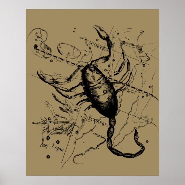 Poster Constelação Scorpio Hevelius 1690 Decor (Frente)