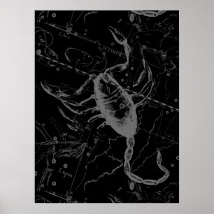 Poster Constelação Scorpio Hevelius 1690 Vintage Black