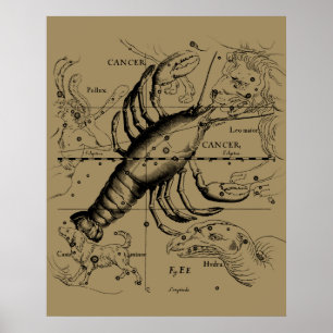 Poster Constelação Zodiac cancer por Hevelius 1690