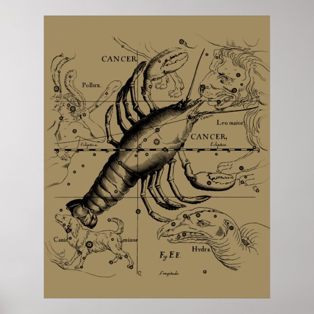 Poster Constelação Zodiac cancer por Hevelius 1690 (Frente)