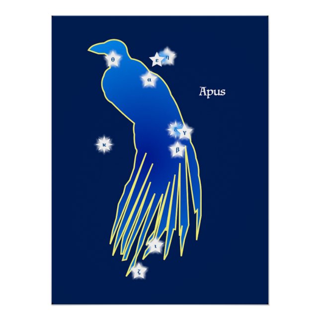 Póster Constellation du Paradisier (Frente)