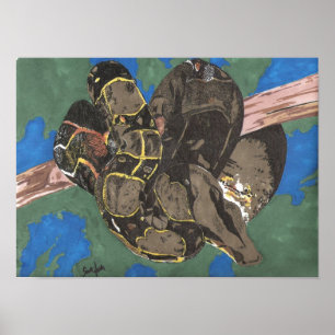 Póster Constrictor de boa