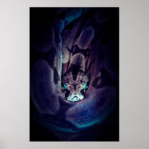 POSTER CONSTRUTOR DE BOA CURRADO