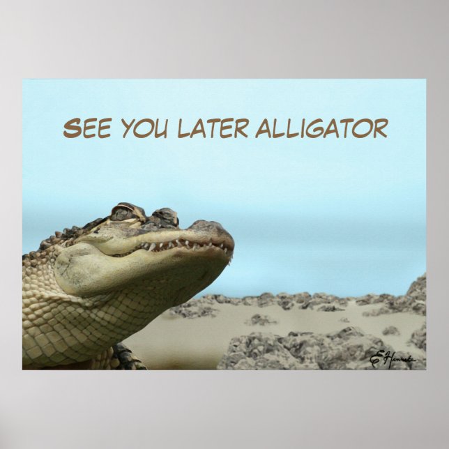 Poster Consulte Você Mais Tarde Alligator (Frente)
