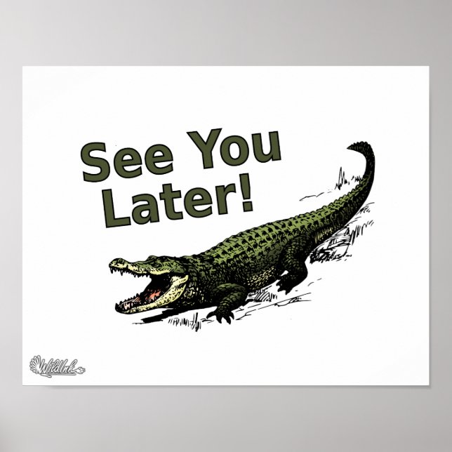 Póster Consulte Você Mais Tarde Alligator (Frente)