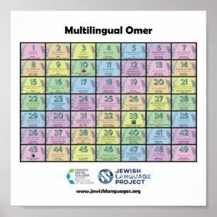 Poster Contador de servidores multilíngue