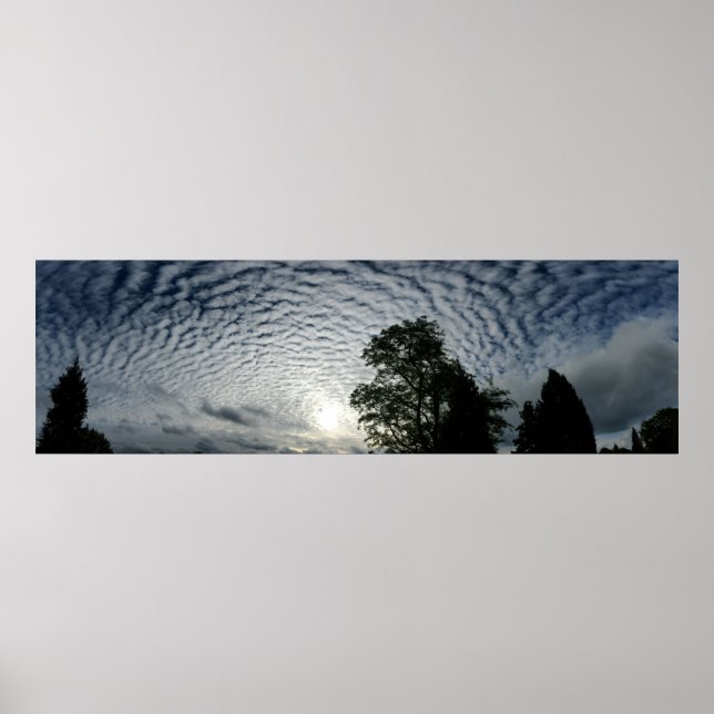 Póster Contagem de ovinos (Frente)