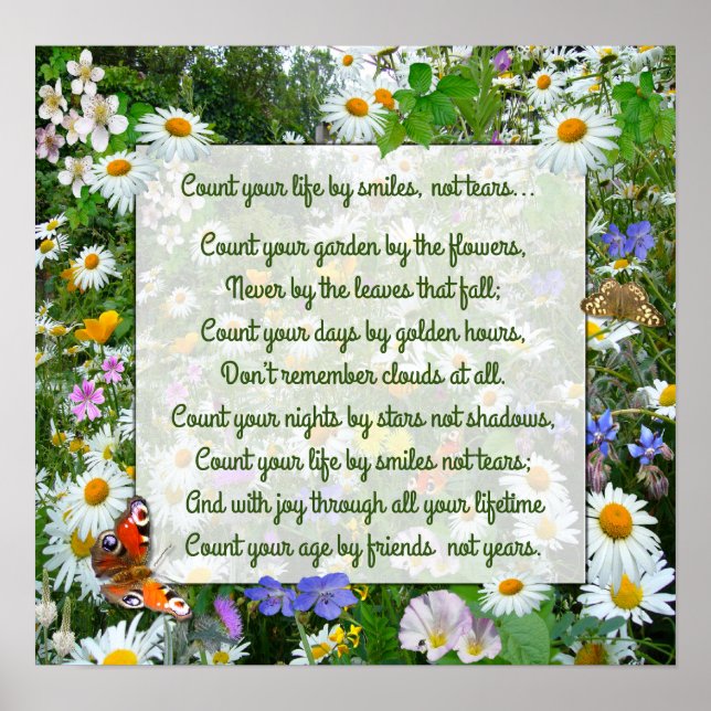 POSTER "CONTE SUA VIDA POR SORTES" (Frente)