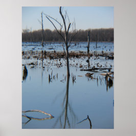 Póster Contemplação da infecção