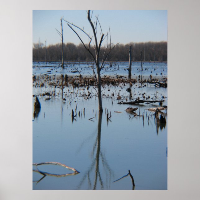 Póster Contemplação da infecção (Frente)