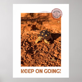 Poster Continua a usar o código motivacional Tortoise