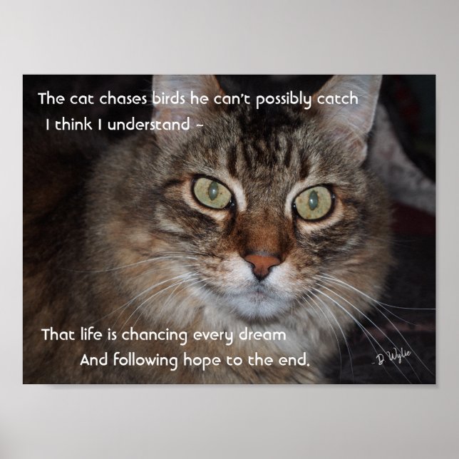 Poster Continuar Perseguindo Sonhos (Frente)