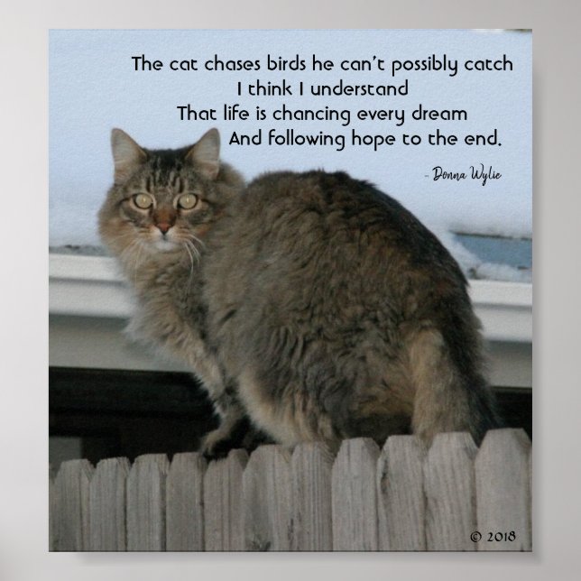 Poster Continuar Perseguindo Sonhos (Frente)