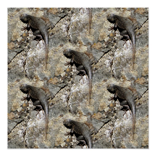 Póster Continue subindo.... (Frente)