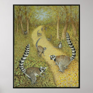 Poster Contos de contar