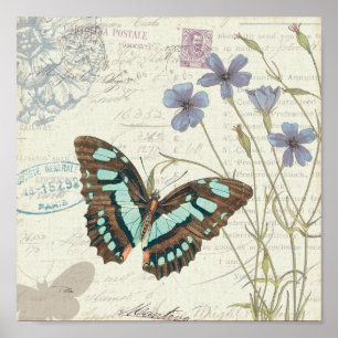 Póster Contos de Papillon