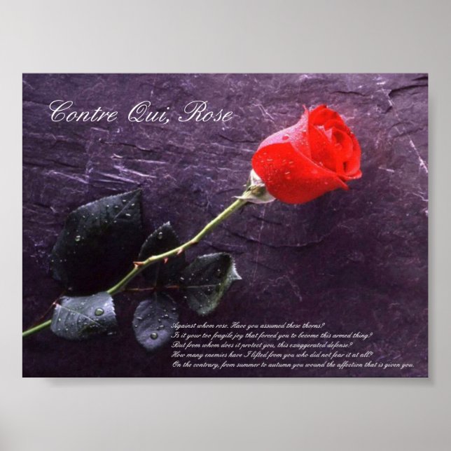 Póster Contre Qui, Rosa (Frente)