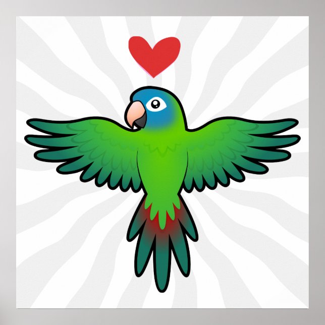 Póster Conura / Lorikeet / Amor de Papagaio (Frente)