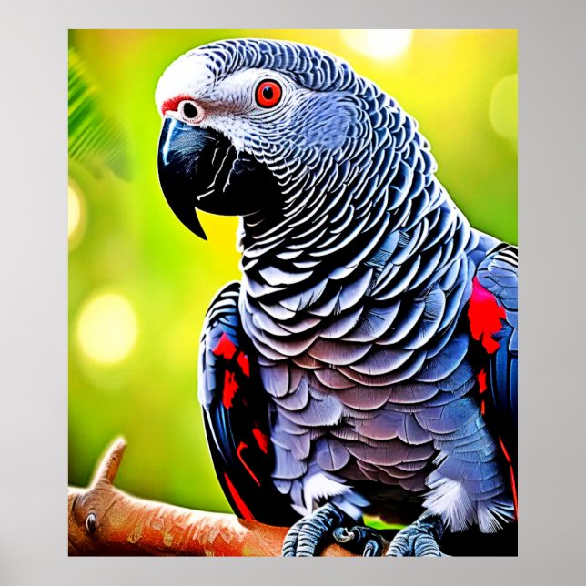 Poster Conversando com a Cinza africana Papagaio (Frente)