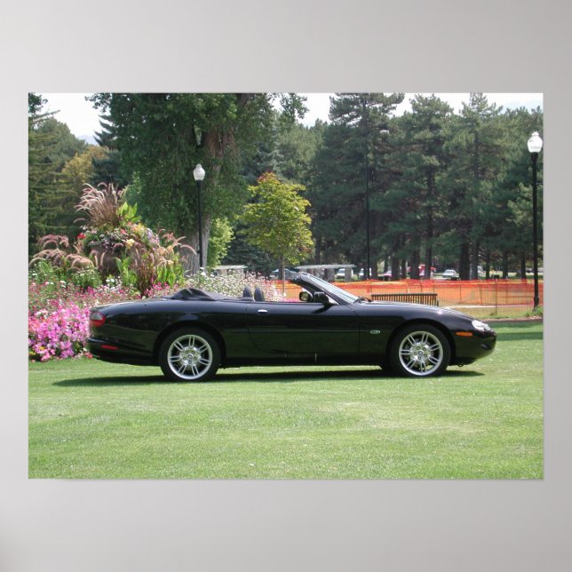 Póster Conversível Jaguar XK8 (Frente)