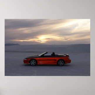 Poster Conversível Stang 1995