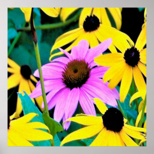 Poster Conversor rosa e roxo com flores amarelas