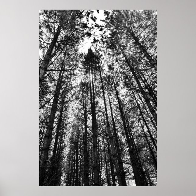 Poster Convertendo mentes (Frente)