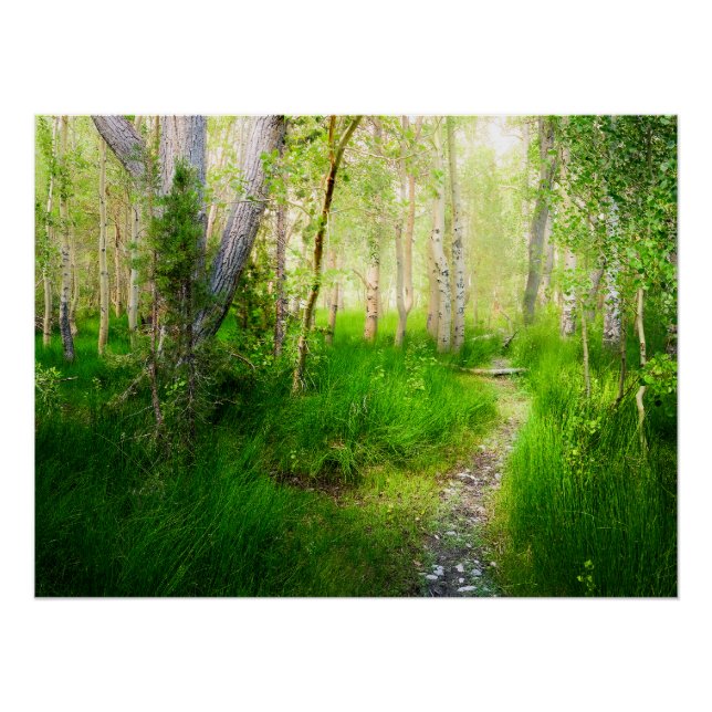 Póster Convict Lake Aspen Meadow Wall Art Nature Print (Frente)