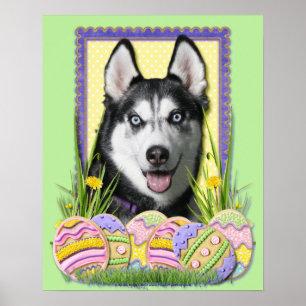 Poster Cookies de Ovos de Páscoa - Husky Siberiano