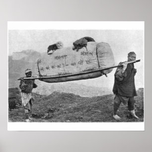 Póster Coolies carrying cotton, 1901 (b/w photo)