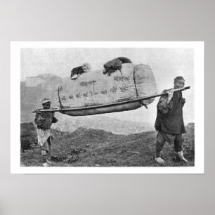 Póster Coolies que levam o algodão, 1901 (foto de b/w)