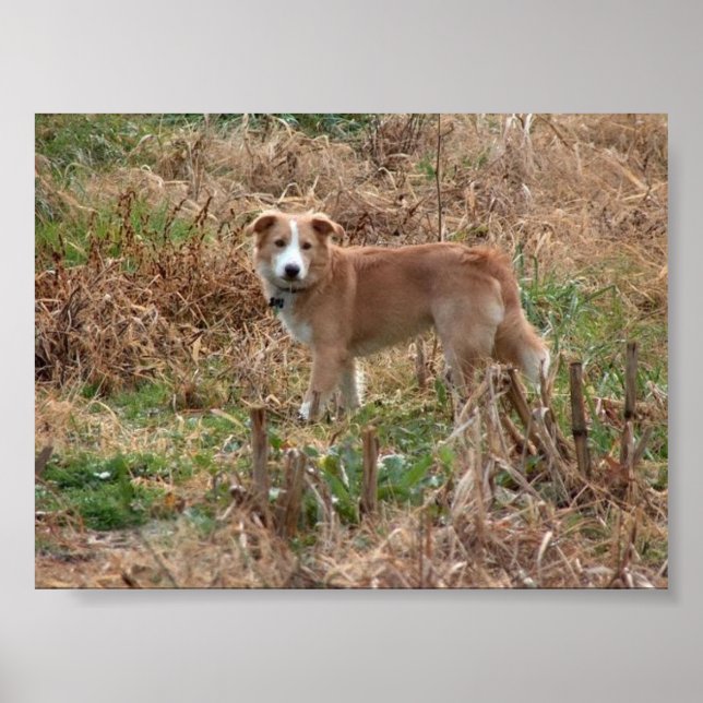 Póster Cooper (Frente)