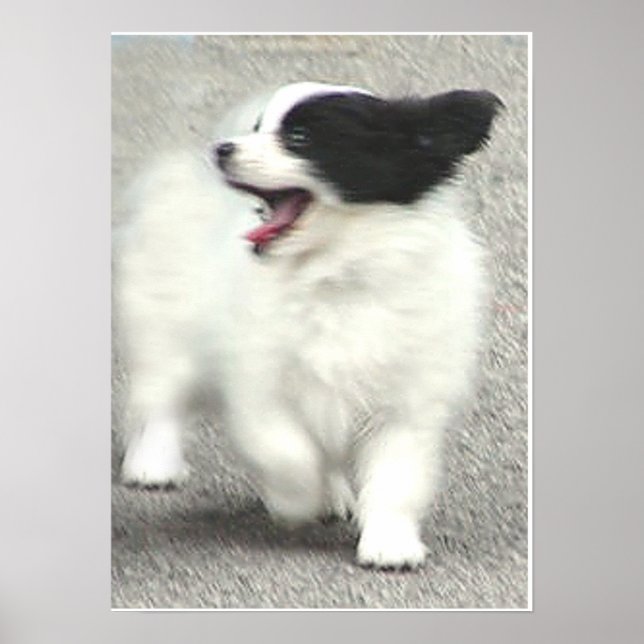 POSTER COOPER (Frente)