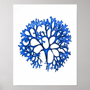 Póster Cópia botânica litoral do no. 12 azuis do