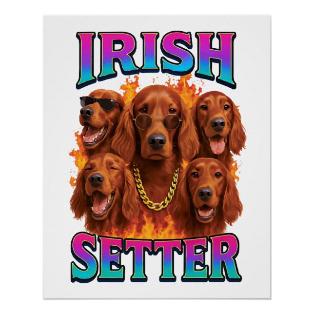 Póster Cópia do Setter Irlandês (Frente)