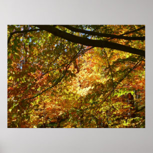 Poster Cópias de Folhas I Amarelo Autumn