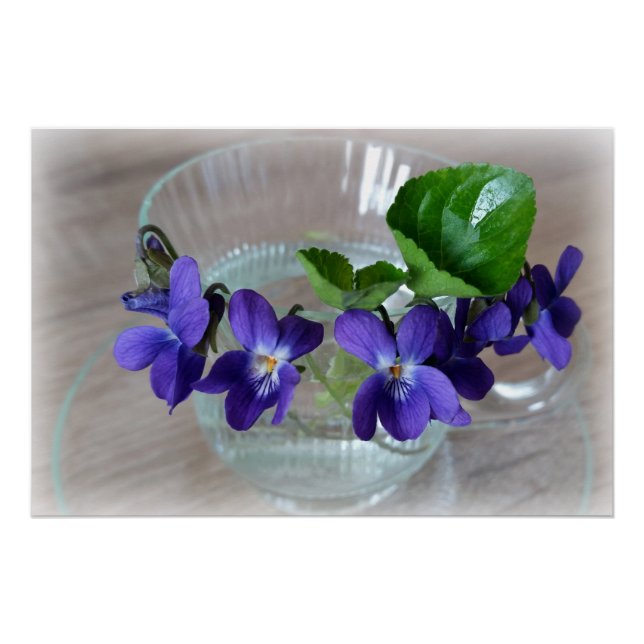 Póster copo de violetas (Frente)