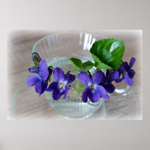 Póster copo de violetas
