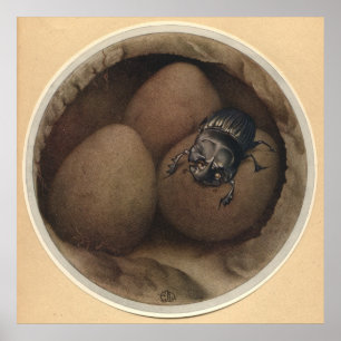 Poster COPRIS ESPANHOL - Ilustração do Livro de Insetos